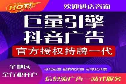 成功运用SEM服务实现品牌快速成长的案例